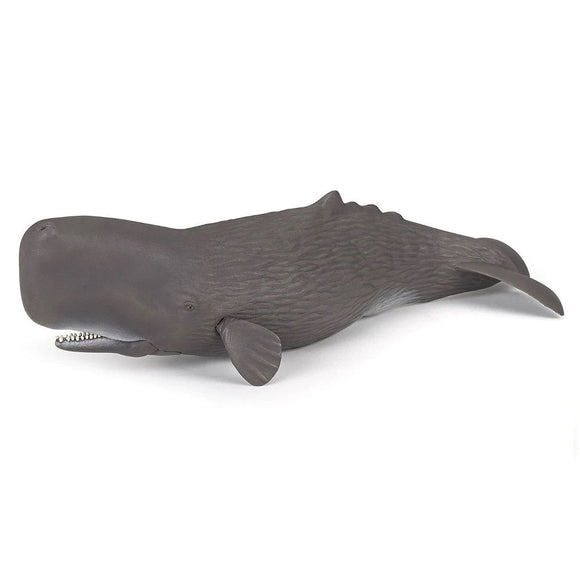 Papo Sperm Whale-56036-Animal Kingdoms Toy Store