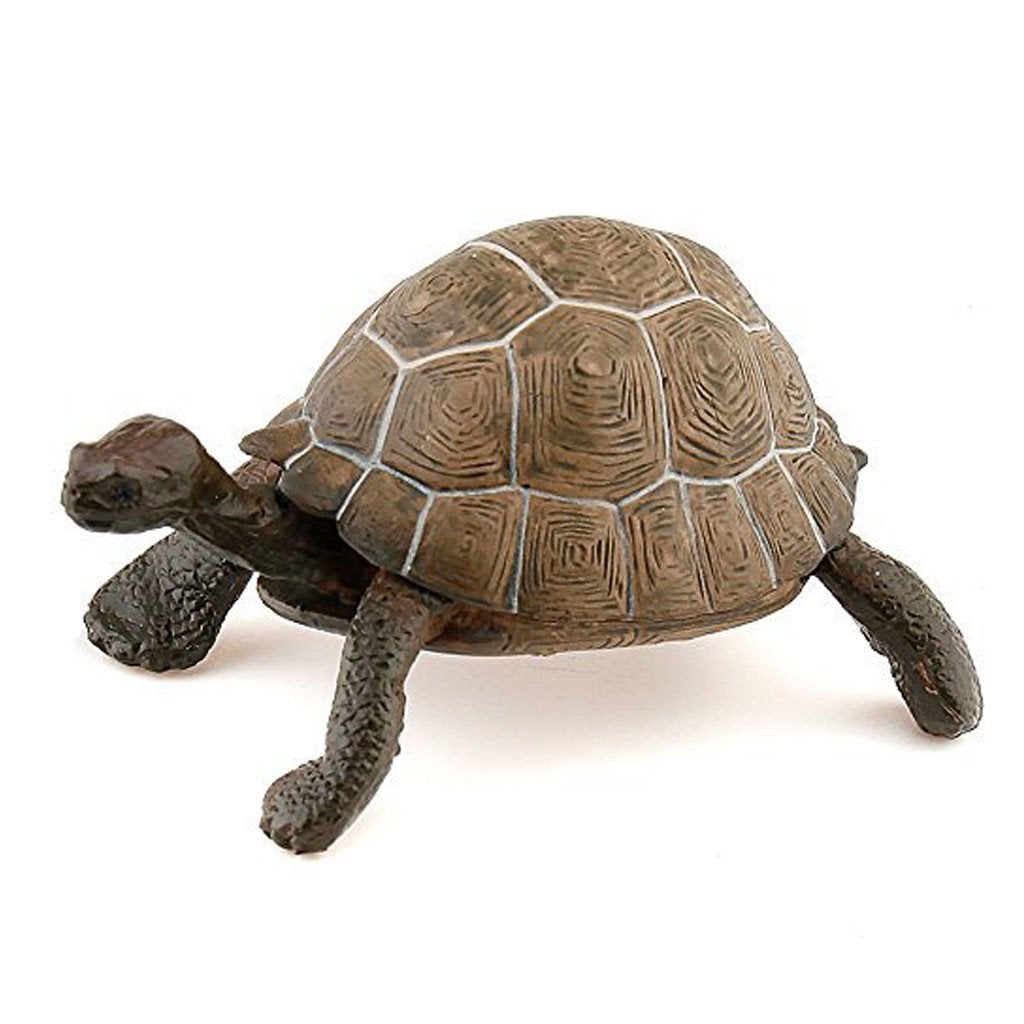 Papo Tortoise – Animal Kingdoms Toy Store