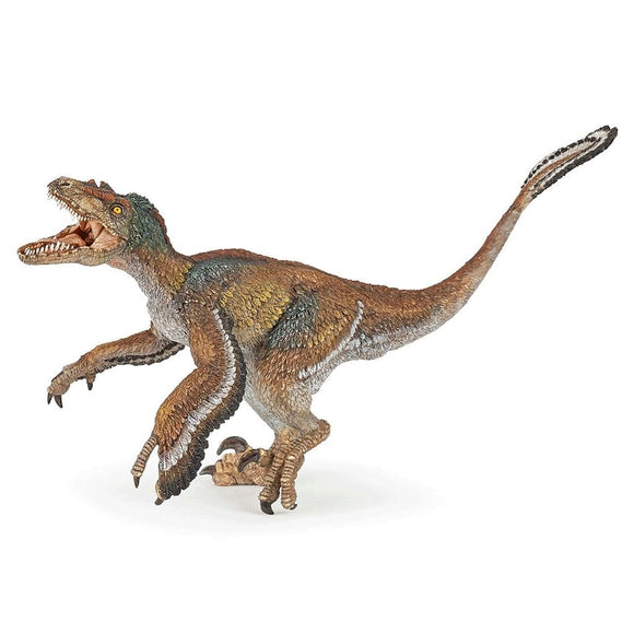 Papo Velociraptor Feathered-55055-Animal Kingdoms Toy Store