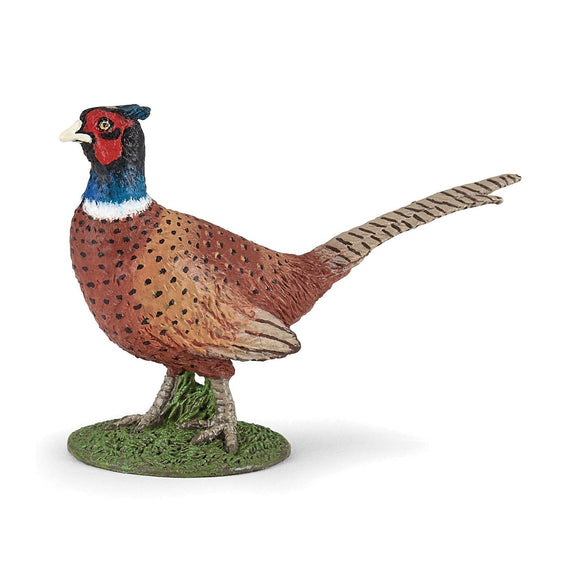 Papo Pheasant-50263-Animal Kingdoms Toy Store
