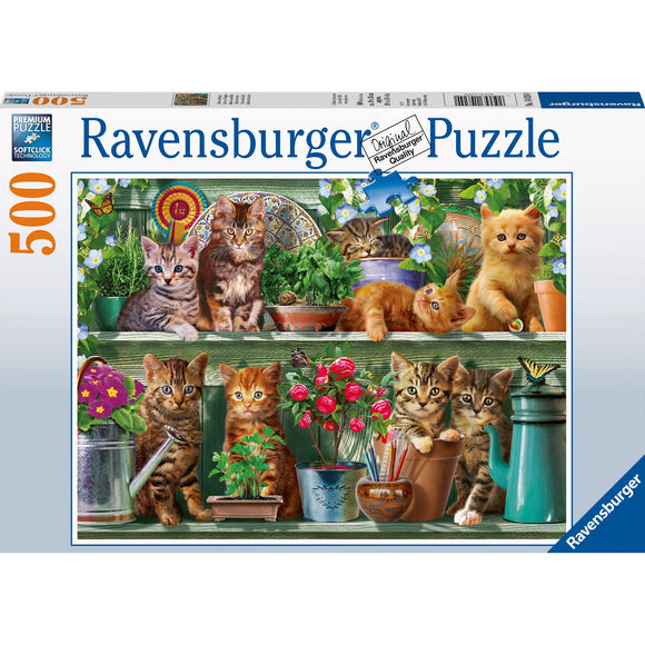 Ravensburger Cats on the Shelf Puzzle 500pc-RB14824-0-Animal Kingdoms Toy Store