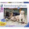 Ravensburger Ruff Day Puzzle 750pc Large Format-RB19939-6-Animal Kingdoms Toy Store