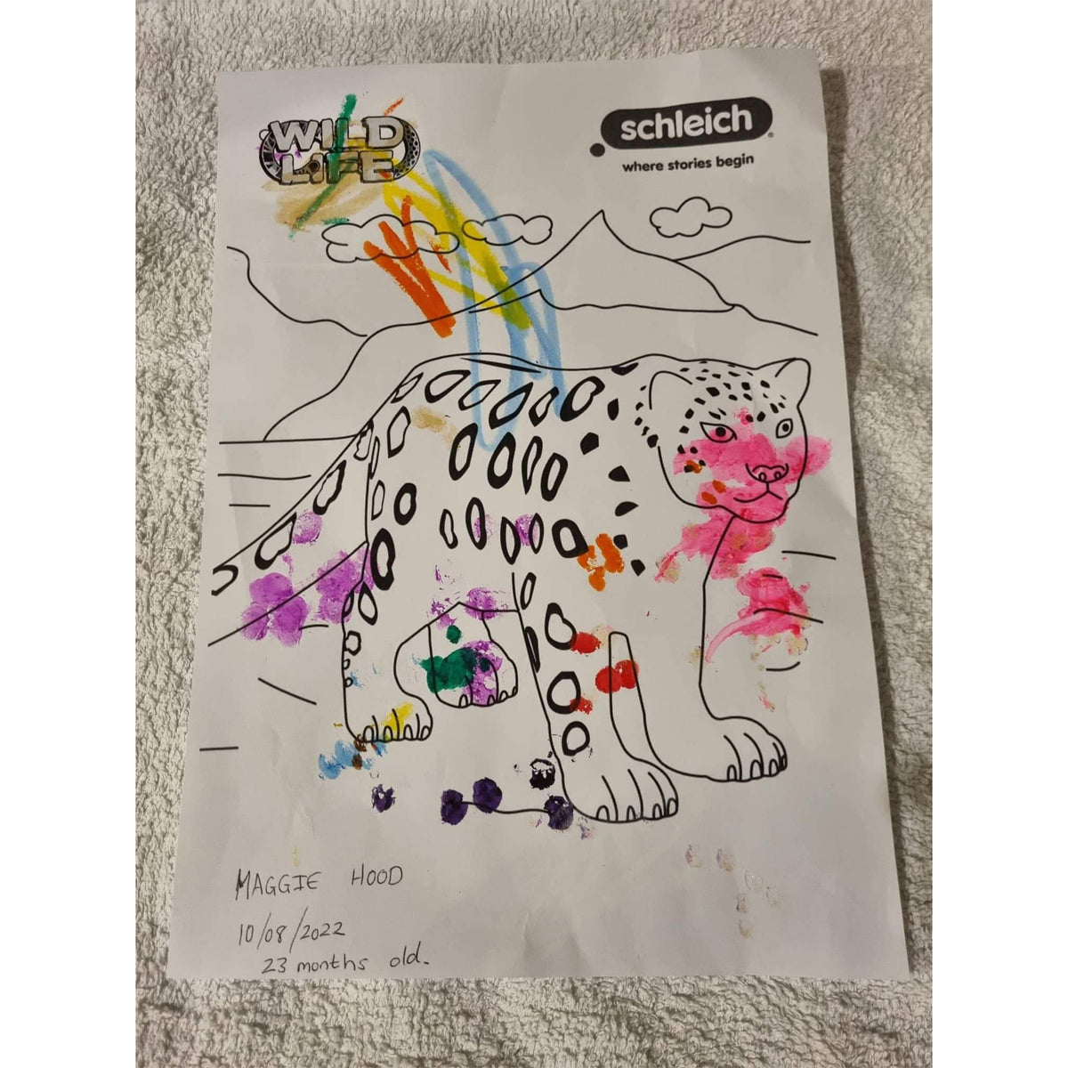 Colouring Competition 2022