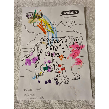 Colouring Competition 2022