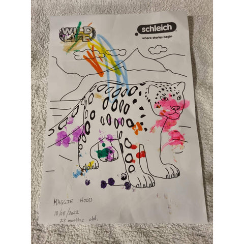 Colouring Competition 2022