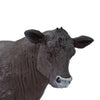 Safari Ltd Angus Cow-SAF160829-Animal Kingdoms Toy Store