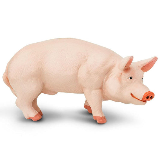 Safari Ltd Boar-SAF235229-Animal Kingdoms Toy Store