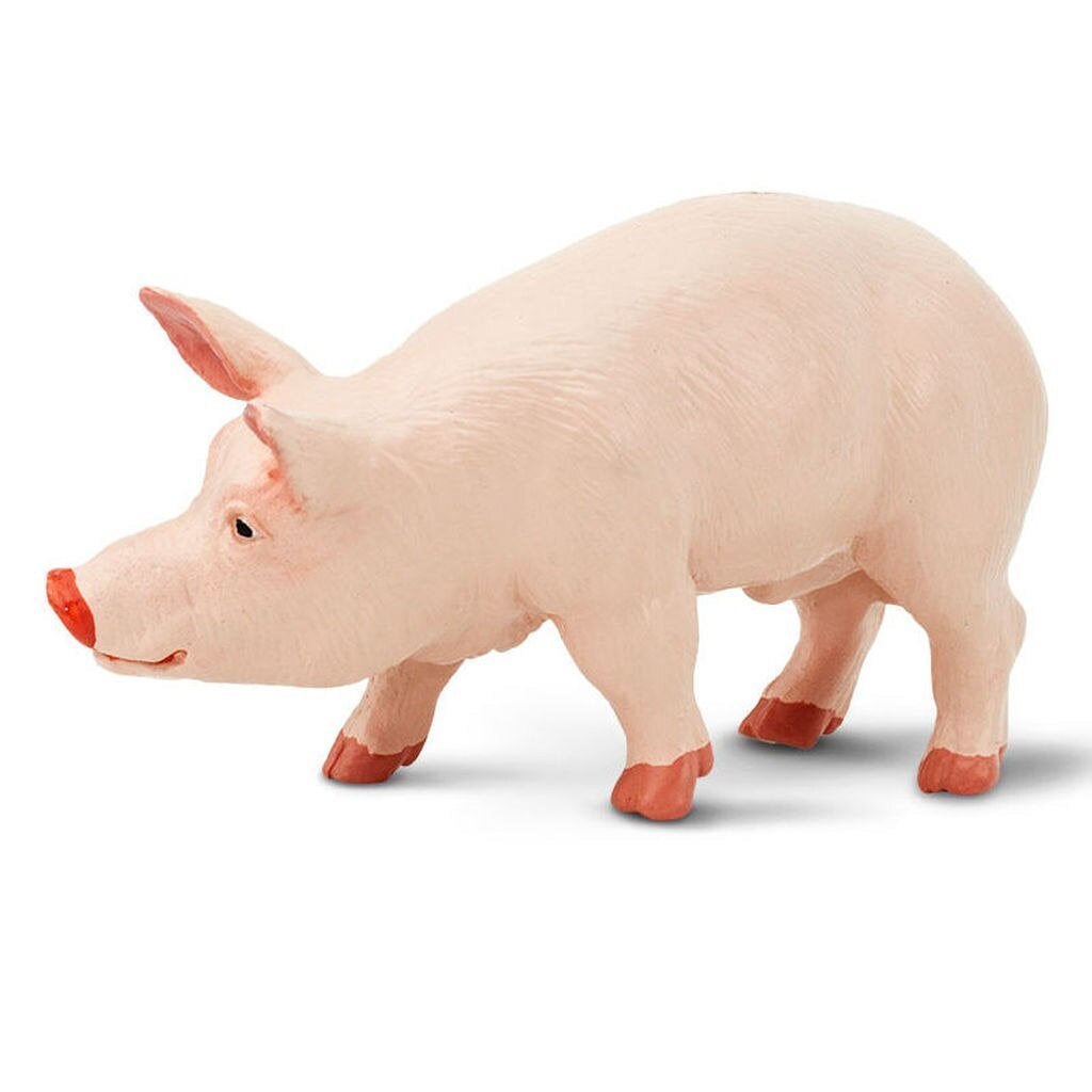Safari Ltd Boar-SAF235229-Animal Kingdoms Toy Store