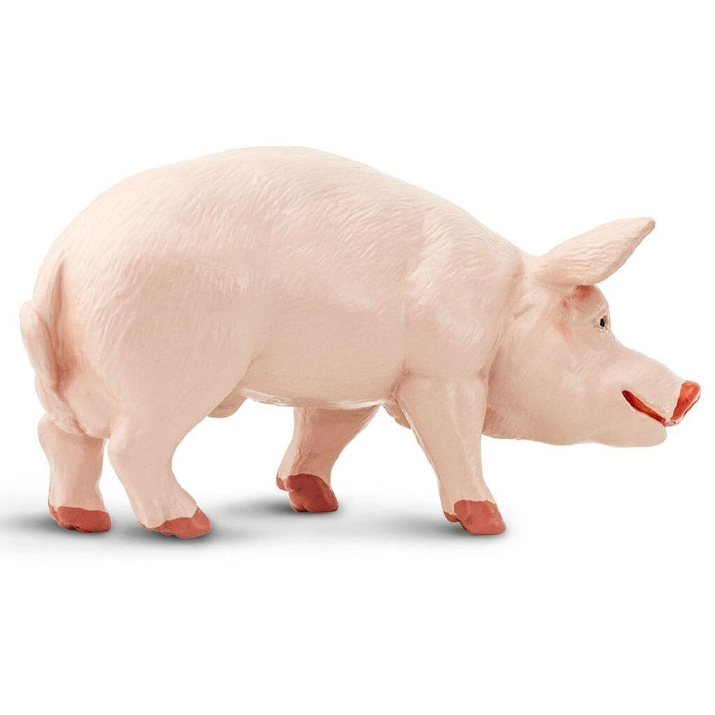Safari Ltd Boar-SAF235229-Animal Kingdoms Toy Store