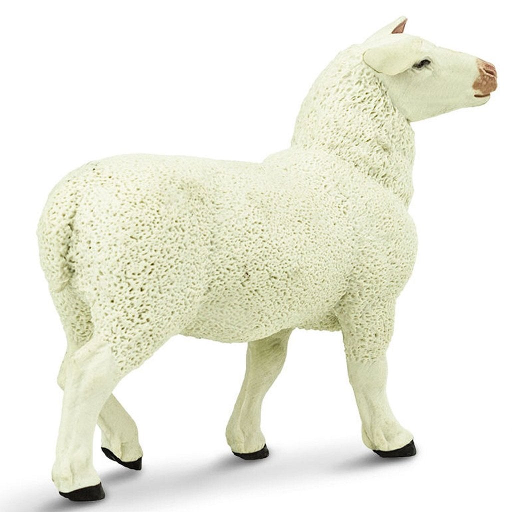 Safari Ltd Ewe-SAF246129-Animal Kingdoms Toy Store