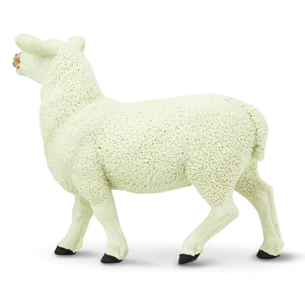 Safari Ltd Ewe-SAF246129-Animal Kingdoms Toy Store