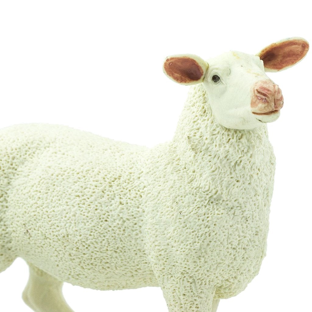 Safari Ltd Ewe-SAF246129-Animal Kingdoms Toy Store