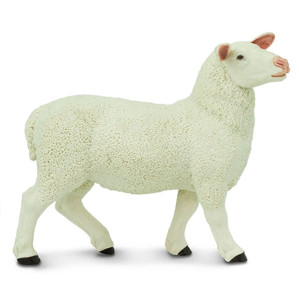 Safari Ltd Ewe-SAF246129-Animal Kingdoms Toy Store
