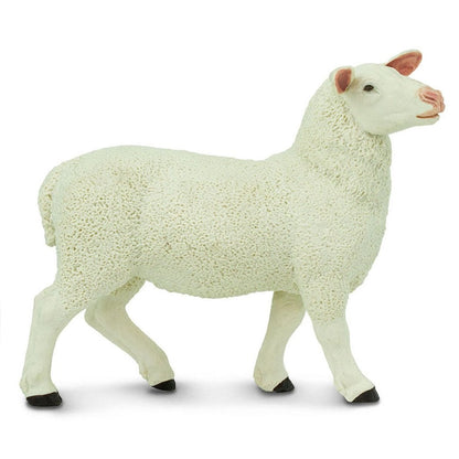Safari Ltd Ewe-SAF246129-Animal Kingdoms Toy Store
