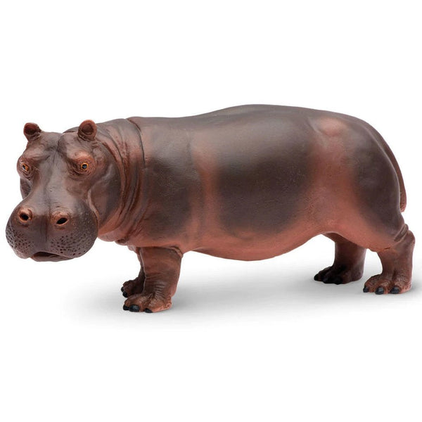 Safari Ltd Hippopotamus-SAF270429-Animal Kingdoms Toy Store