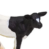 Safari Ltd Holstein Calf-SAF232729-Animal Kingdoms Toy Store