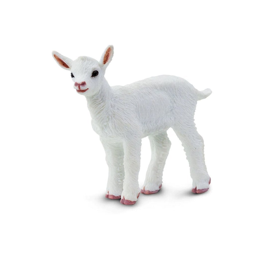 Safari Ltd Kid Goat-SAF161229-Animal Kingdoms Toy Store
