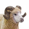 Safari Ltd Ram-SAF161429-Animal Kingdoms Toy Store