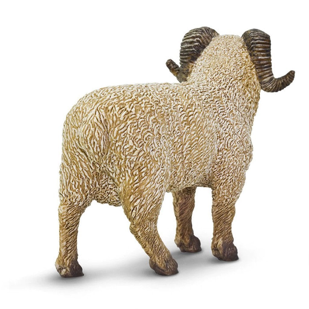 Safari Ltd Ram-SAF161429-Animal Kingdoms Toy Store