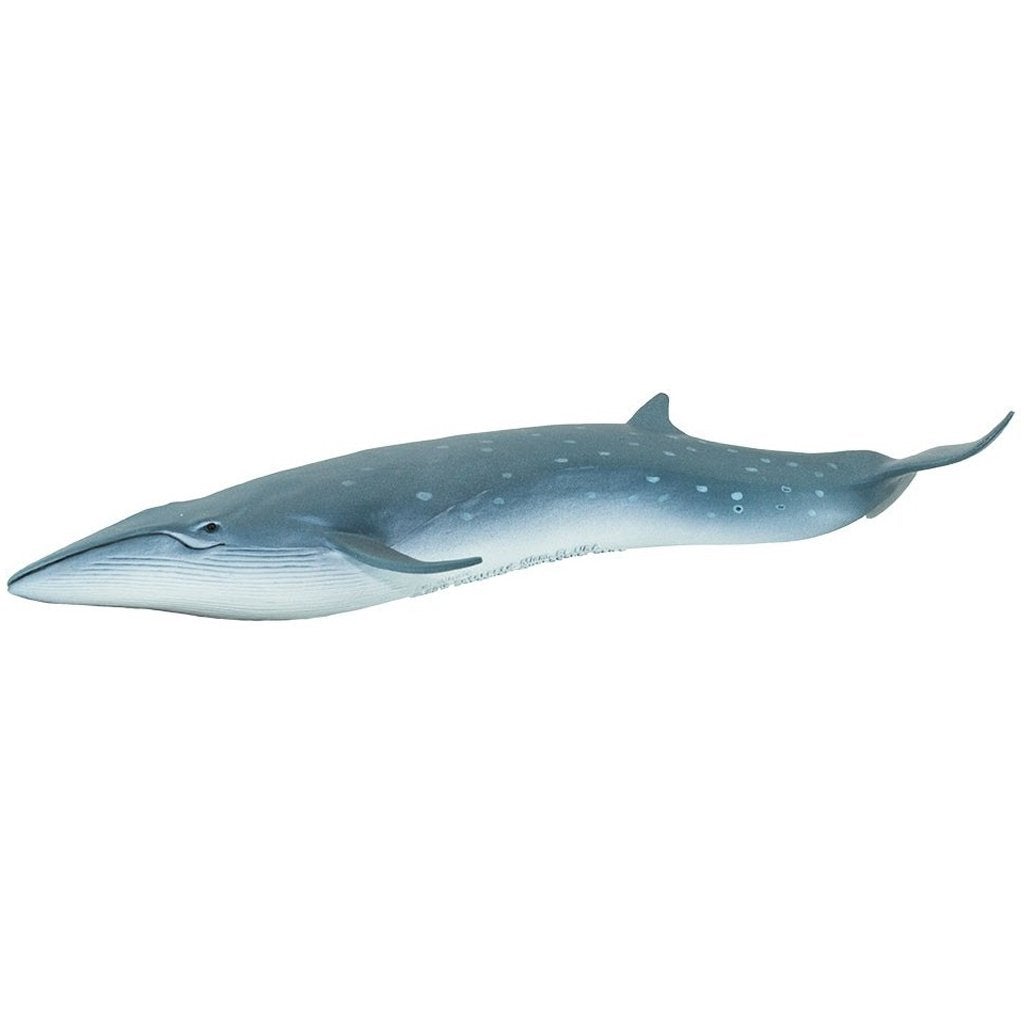 Safari Ltd Sei Whale-SAF100098-Animal Kingdoms Toy Store