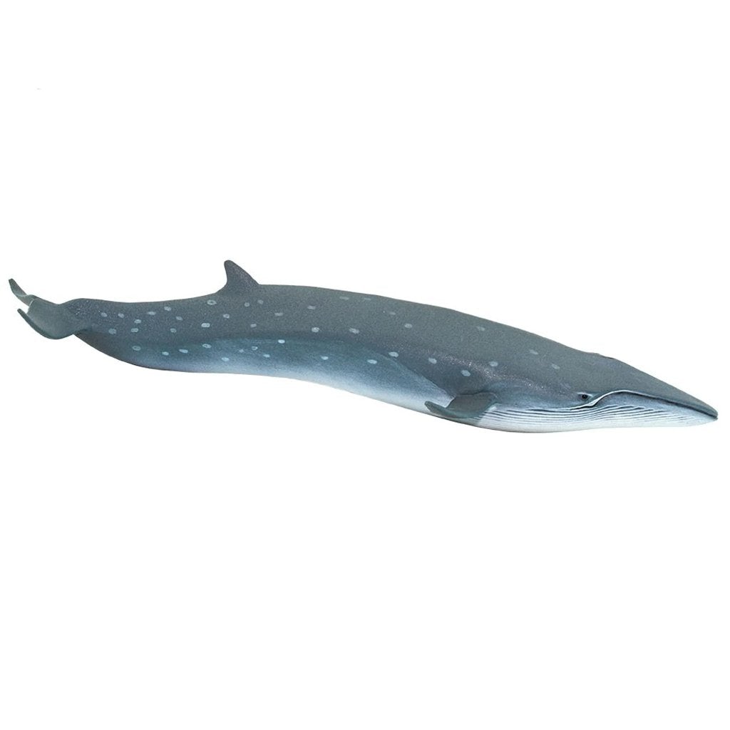 Safari Ltd Sei Whale-SAF100098-Animal Kingdoms Toy Store