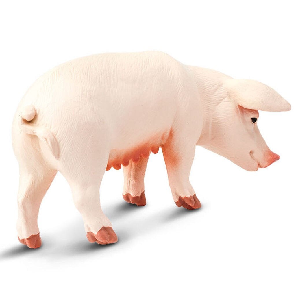 Safari Ltd Sow-SAF161029-Animal Kingdoms Toy Store