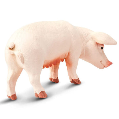 Safari Ltd Sow-SAF161029-Animal Kingdoms Toy Store