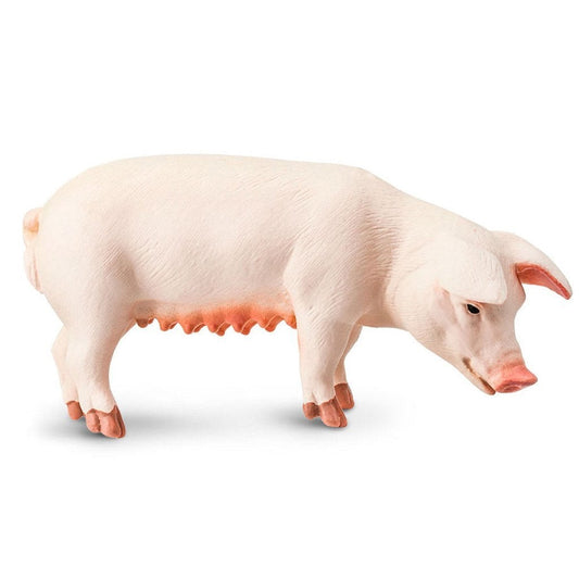 Safari Ltd Sow-SAF161029-Animal Kingdoms Toy Store