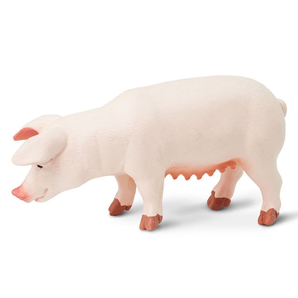 Safari Ltd Sow-SAF161029-Animal Kingdoms Toy Store