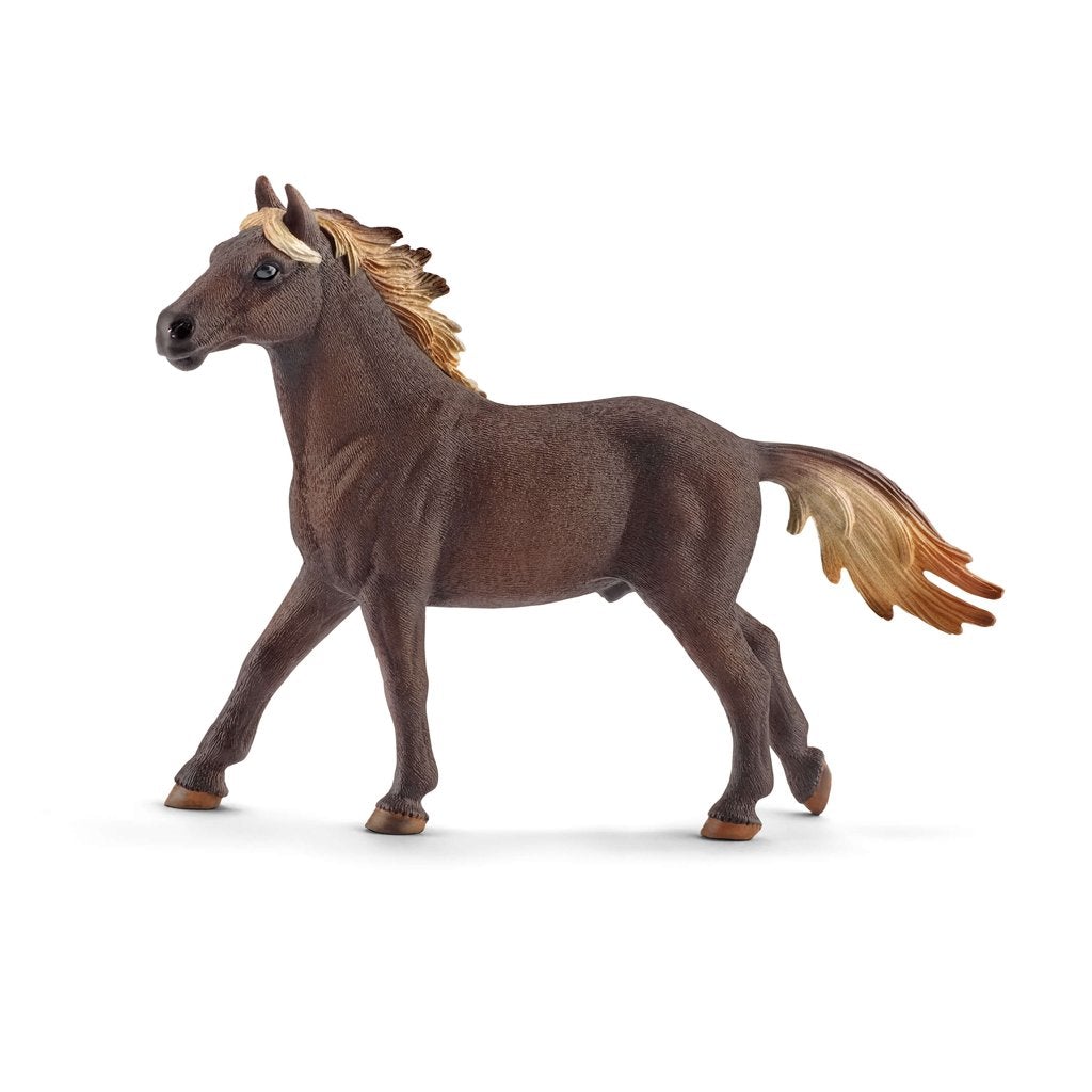 Schleich 5 Horses Collectors Pack Exclusive-S72113-Animal Kingdoms Toy Store