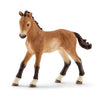 Schleich 5 Horses Collectors Pack Exclusive-S72113-Animal Kingdoms Toy Store