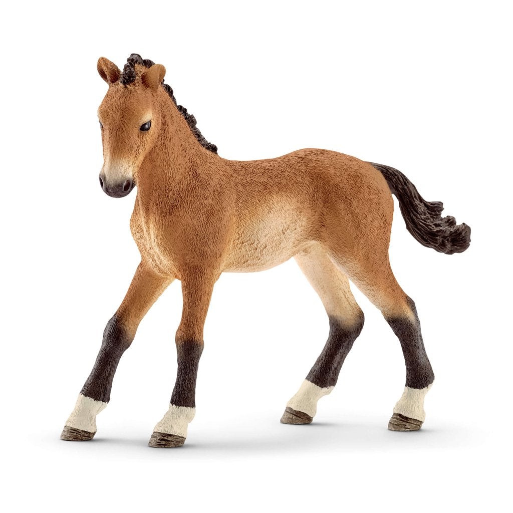 Schleich 5 Horses Collectors Pack Exclusive-S72113-Animal Kingdoms Toy Store