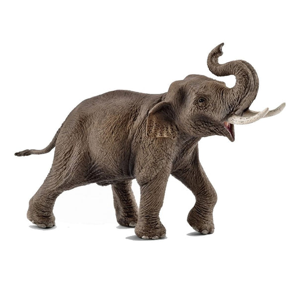 Schleich Asian Elephant Bull-14754-Animal Kingdoms Toy Store