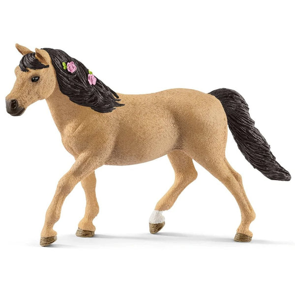 Schleich Connemara Pony Mare-13863-Animal Kingdoms Toy Store
