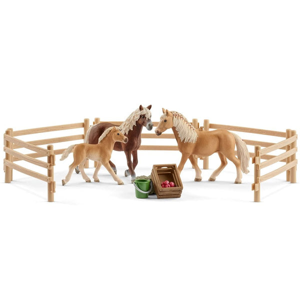 Schleich Haflinger Family in the Meadow Exclusive-72131-Animal Kingdoms Toy Store