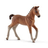 Schleich Hanoverian Foal-13818-Animal Kingdoms Toy Store
