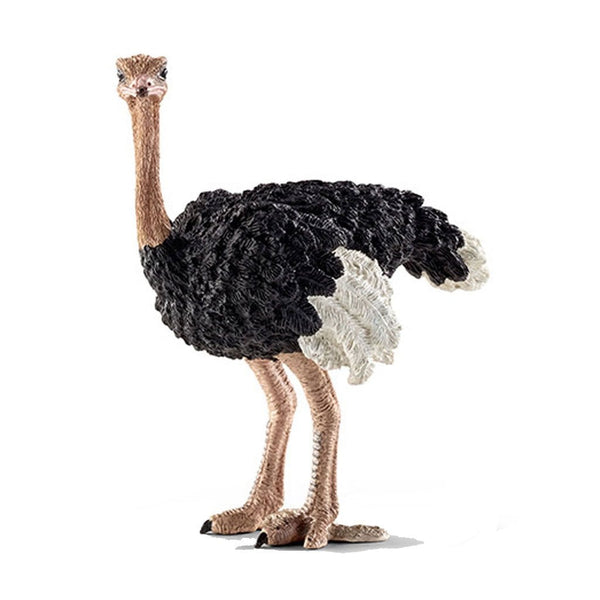 Schleich Ostrich-14744-Animal Kingdoms Toy Store