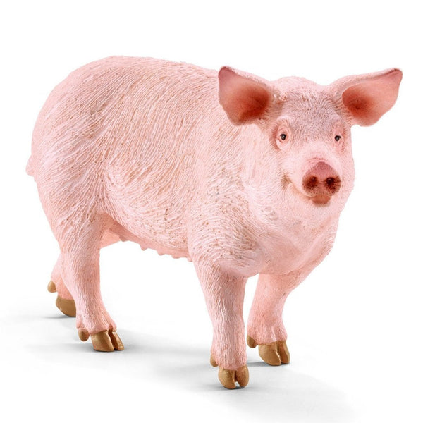 Schleich Pig-13782-Animal Kingdoms Toy Store