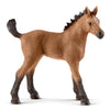 Schleich Quarter Horse Foal-13854-Animal Kingdoms Toy Store
