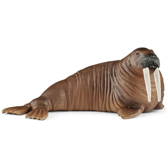 Schleich Walrus-14803-Animal Kingdoms Toy Store