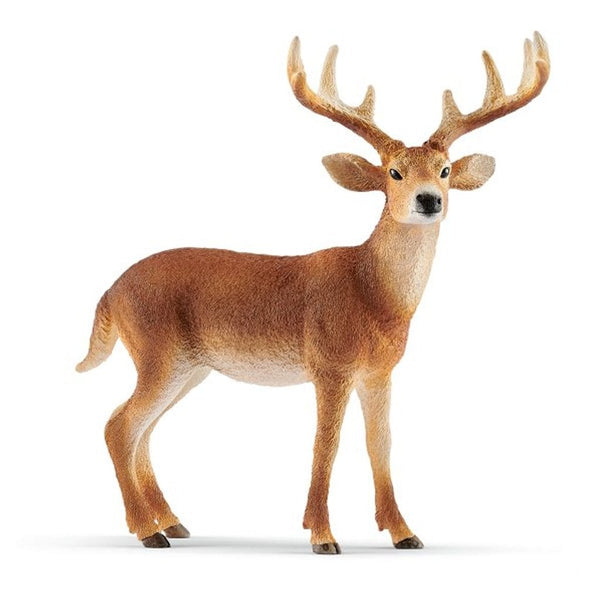 Schleich White-Tailed Buck-14818-Animal Kingdoms Toy Store