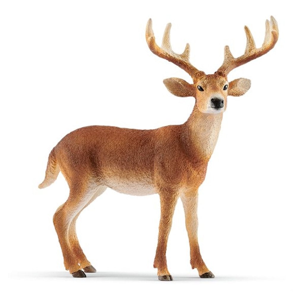 Schleich White-Tailed Buck-14818-Animal Kingdoms Toy Store