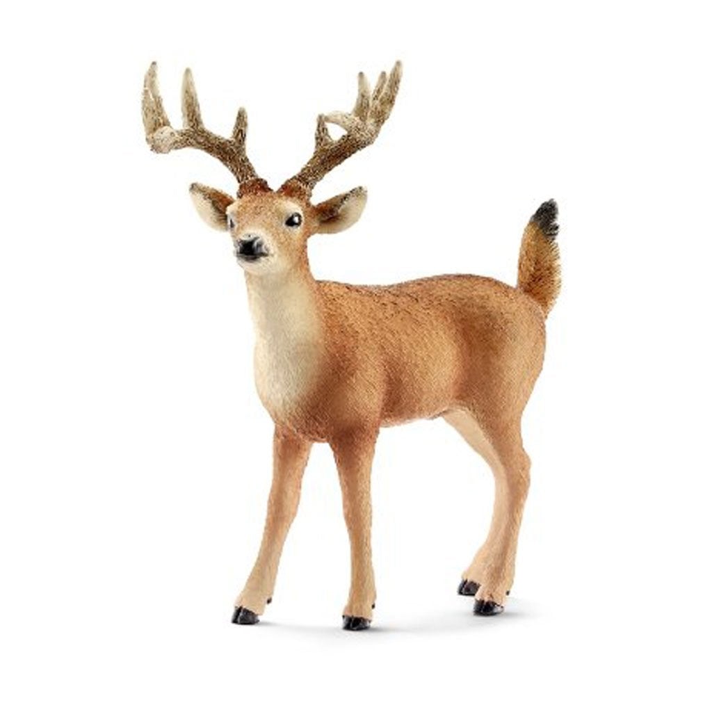 Schleich White Tailed Buck-14709-Animal Kingdoms Toy Store