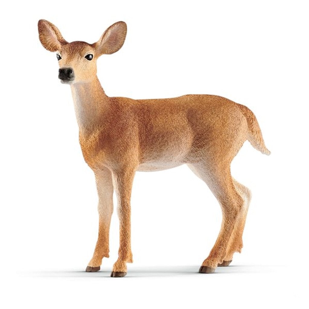 Schleich White-Tailed Doe-14819-Animal Kingdoms Toy Store