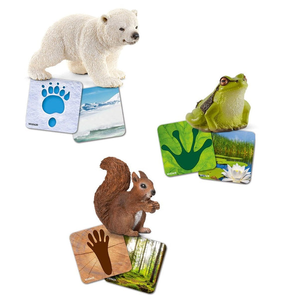 Schleich Wild Life Flash Cards-42474-Animal Kingdoms Toy Store